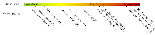 evluate stress symptoms with this stress scale